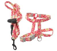 Abaodam Adjustable Cat Harness and Leash Escape Proof Design Cloth Material for Walking Downtown and Crowded Trail Use Suitable for Cats and Pets