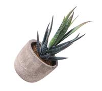 Abaodam Artificial Plant Bonsai Lifelike Vintage Simulation in Pe and Paper Material and Not Easy to Decay Desktop Decoration for Desktop Decoration Or Anywhere in The Room