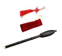 Abaodam Bawu Flute B Flat Key Vertical Resin Instrument with Storage Pouch Smooth Burr Surface for Beginners Learning Lyrical Tones and Ensemble Use