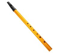 Abaodam C-key Tin Whistle Recorder for Beginners Irish Flute for Boys and Girls Musical Education School Band