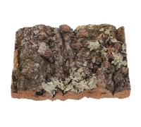 Abaodam Cork Bark Decor for Reptile Habitat and Aquarium Wall | Sturdy Bark Finish, Natural Climbing Surface, Indoor Wall and Terrarium Use, Green Plant Display