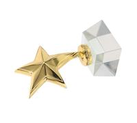 Abaodam Crystal Trophy Small Star Award for Sports Competition Party Games Classroom Rewards Encourages Achievement and Positive Reinforcement