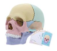Abaodam Detachable Human Skull Model Realistic Anatomical Skull for Medical Study and Teaching Construction for Hands Learning and Research