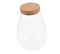 Abaodam DIY Bryophyte Landscape Bottle with Glass Betta Container Micro Terrarium for Indoor Plants and Moss Glass Propagation Station with Stopper Table Decor and Home Gardening