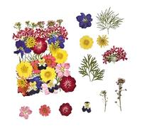 Abaodam DIY Dried Flower Craft for Manicure and Handmade Decoration Pressed Floral Accessories for Nail Art Mobile Case Scrapbook and Creative DIY Projects Multi Use Crafting Kit