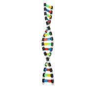 Abaodam Dna Double Helix Model Component for Science Education Removable Molecular Structure Display Safe Material for Biology Teaching and Student Exploration
