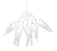 Abaodam Dream Catcher Decoration Lightweight Wall Hanging White Iron and Plume to Make Nightmares Disappear with Elegant Rustic Texture for Bedroom and Wall Decor