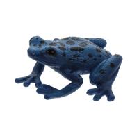 Abaodam Educational Frog Amphibian Animal Figure Model Simulation for Learning and Display Creative Collectible Cognition Action Figurine for Science Education and Home Decor