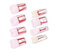Abaodam Endodontic Tooth Model with Precision Pulp Chamber 8pcs Resin Typodont Teaching Model and Realistic Root Canal Simulation for Schools, Demonstration, Teachers and Assistants