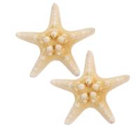 Abaodam Five-pointed Sea Star Hair Clips Resin Material and Elegant Mediterranean Style 2pcs Color Color Stable Hair Clipping and Women for Parties and Friends Gatherings