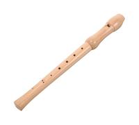 Abaodam German-style Educational Musical Clarinet for Boy Girl Detachable Flute High Pitch Soprano Recorder Early Learning Instrument for Beginners and Music