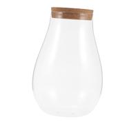 Abaodam Glass DIY Bryophyte Ecological Bottle Terrarium with Cork Transparent Plant Container for Indoor Hydroponic Moss Landscaping and Creative Greenhouse Decor