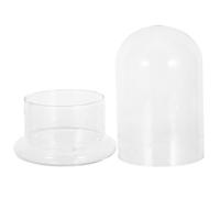 Abaodam Glass Terrarium Dome with Base for Plants and Air Plants, Decorative and DIY Activity Hydroponic Vase in Sleek Modern Bell Jar Shape, for Family Bonding and Room Display