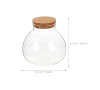 Abaodam Glass Terrarium Jar with Cork Lid 13cm Mini Ecological Bottle for Succulent Plants and Moss Propagation, Airtight Display Container for Home Gardening and DIY Micro Landscape