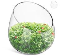 Abaodam Glass Vase Planter Slanted Mouth Bowl for Succulents and Moss Compact Indoor Plant Decor for Home and Office