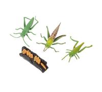 Abaodam Grasshopper Growth Process Model and Imitation Plastic Insect Figurine for Boys and Girls Educational Science Learning Toy Preschool Biology Study Set
