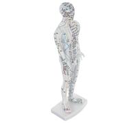 Abaodam Human Body Acupuncture Model with Detailed Meridians and Acupoints Lifelike Male Simulation for Chinese Medicine Learning Practice Training Aid for Students and Massage Therapy