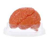 Abaodam Human Brain Anatomy Model Detachable 3-part Structure, Pvc Material, Precise Anatomical Replication and Cross Section Display, for Science Classroom Teaching and Interactive