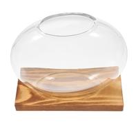Abaodam Hydroponic Glass Terrarium Vase with Wooden Base for Indoor Plant Propagation, Small Desktop Planter Suitable for Home and Office Garden Decor