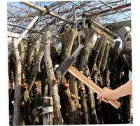 Abaodam Inoculation Puncher Double Head Log Hammer for Mushroom Seeds Planting Wood and Iron Tool for Efficient Home Growing and Wood Cultivation