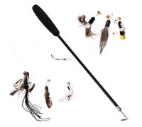 Abaodam Interactive Cat Teaser Wand with and Insect Replacement Heads Kitten for Indoor Play Durable Hunting Simulation for Engaging Lazy and Shy Cats