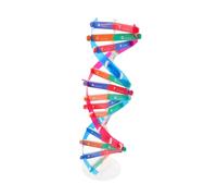 Abaodam Interactive Dna Double Helix Model Kit for Self-assembly Science Educational Molecular Biology Teaching Instrument Biology Learning Tool for Students