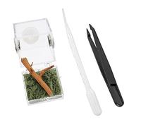Abaodam Jumping Spider Breeding Box Small Non-trap Habitat for Florida Jumping Spiders Insect Breeding Case