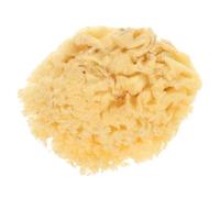 Abaodam Natural Sea Sponge Watercolor Paint Sponge for Artists and Soft Absorbent Craft Tool for DIY Texture and Wall Painting