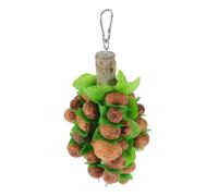 Abaodam Parrot for Birds Sturdy Nut Chew with Ring-buckle Hook for Birdcage Hanging Creative Pendant Design Lightweight Grinding Plaything for Pet Birds and Parrots