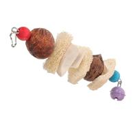 Abaodam Parrot Hanging Chew Toy Natural Loofah Cuttlefish Bone and Dried Fruit with Hook Promoting Dental Health Assorted Color Cage Molar Toys for Birds and Parrots