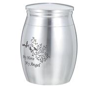 Abaodam Pet Commemorative Casket Silver Mini Pet Urn Cremation Storage Box for Ashes Memorial Keepsake Suitable for Dogs and Cats