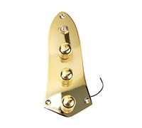 Abaodam Prewired Electric Bass Control Plate with Volume Tone Knobs Metal Guitar Parts Gold Finish Portable Guitar Supply for Bass Accessories