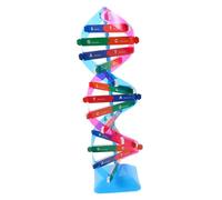 Abaodam Realistic Dna Double Helix Structural Model Kit for Biology Teaching Molecular Science Educational Tool with Vivid Colors Portable Simulation for Lab Demonstrations and DIY
