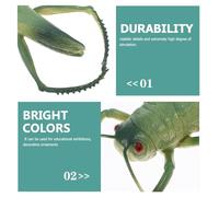 Abaodam Realistic Large Plastic Grasshopper Figurine Educational Tropical Character Insect Party Favor Outdoor Playset