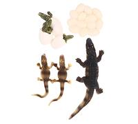 Abaodam Realistic Ocean Creature Models Set for Boys and Girls Educational Marine Life Growth Cycle Toys Simulation Sea Animal Figurines for Boys and Girls Play and Learning