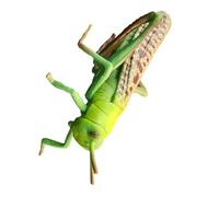 Abaodam Realistic Plastic Locust Model for Educational Early Learning Aid Garden Decor Ornament