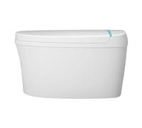 Abaodam Realistic Potty Seat with Detachable Bowl and Anti-Splash Design for Boys and Stable Training Toilet Suitable for Home Use and Easy Cleaning