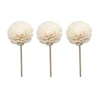 Abaodam Reed Diffuser Sticks 3 pcs Dried Flower Decor Fire-Free Rattan Aromatherapy Plant for Home Decor Perfume Liquid Medicine and Water Solvents Handmade Scent Sticks