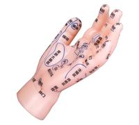 Abaodam Reflexology Hand Model for Tcm Education Labeled Acupoints for Acupuncture Massage Training and Display