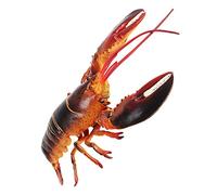 Abaodam Simulation Lobster Model Realistic Lobster Figure Educational for Decor for Garden Desktop for Learning About Life