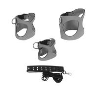 Abaodam Small Animal and Leash Set Reduces Neck Pressure and Evenly Distributes Pull and Quick Release Buckle Adjustable with Vest Style Design Pu Leather Material for Outdoor