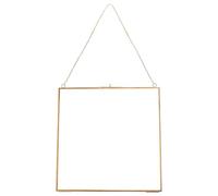Abaodam Specimen Clip Frame 24X24Cm Gold Glass for Botanical Art and Pressed Flowers Wall Hanging Display