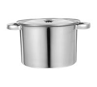 Abaodam Stainless Steel Stock Pot with Lid 2.5 Litre, Induction Hob Safe Cooking Pot with 3.0mm Thickened Base, Deep Casserole Stew Pan for Soup, Marinating & Oil Storage, Silver, 20cm