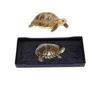 Abaodam Turtle Feeding Bowl Small Black Reptile Dish for Food Water and Bathing Unbreakable Natural Wood Grain Surface Weighted Tip Shallow Design for Tortoises and Bearded Dragons