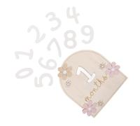 Abaodam Wooden Monthly Milestone Cards Double-Sided Daisy Flower Photo Props Newborn Announcement Signs Growth Record for Newborns and Shower