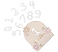 Abaodam Wooden Progress Cards Set for Newborn Monthly Photo Props, Newborn Growth Signs and Birth Announcement Decor for Nursery