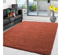 Abaseen Shaggy Rug Non Shed Thick Fluffy For Living Room area HALL RUG RUNNER MAT 12 Different Color and 4 Different Sizes (Terracotta, 60 x 110 cm)