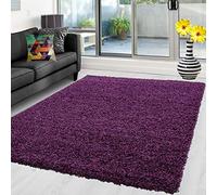 Abaseen Shaggy Rug Non Shed Thick Fluffy For Living Room area HALL RUG RUNNER MAT 12 Different Color and 4 Different Sizes (Purple, 120 x 170 cm)