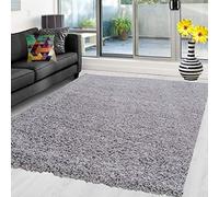 Abaseen Shaggy Rug Non Shed Thick Fluffy For Living Room area HALL RUG RUNNER MAT 12 Different Color and 4 Different Sizes (Silver, 60 x 110 cm)