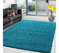 Abaseen Shaggy Rug Non Shed Thick Fluffy For Living Room area HALL RUG RUNNER MAT 12 Different Color and 4 Different Sizes (Teal Blue, 80 x 150 cm)